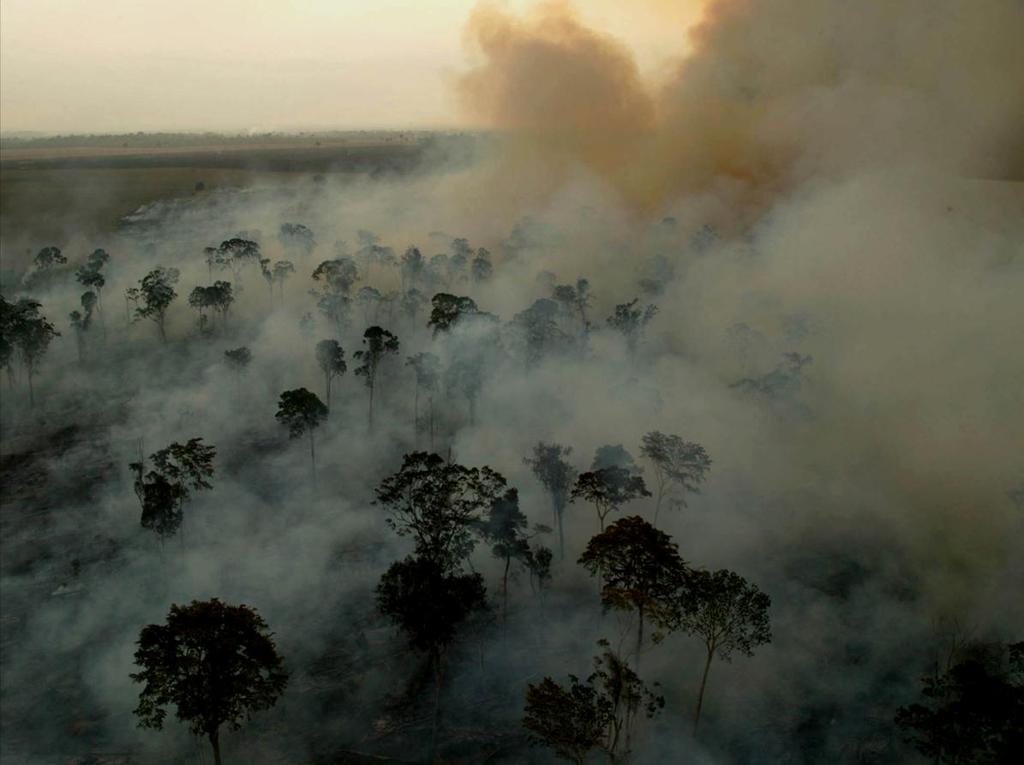 Os dois grandes problemas do aquecimento global são: 1.