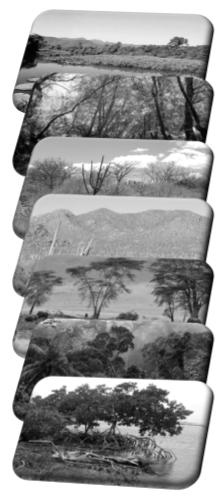 Microtérmicas - Espécies que vivem melhor com temperaturas abaixo de 12ºC. (Zonas Polares e Montanhas) Umidade 1.