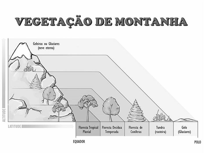 Mata de Cocais Complexo