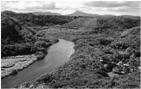 litoral). Heterogênea, com rica fauna e flora (todos em séria ameaça).