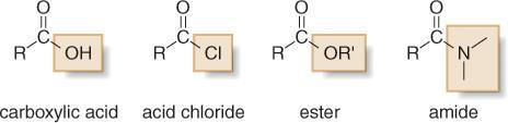 and hydrogen atoms bonded to the carbonyl [2]