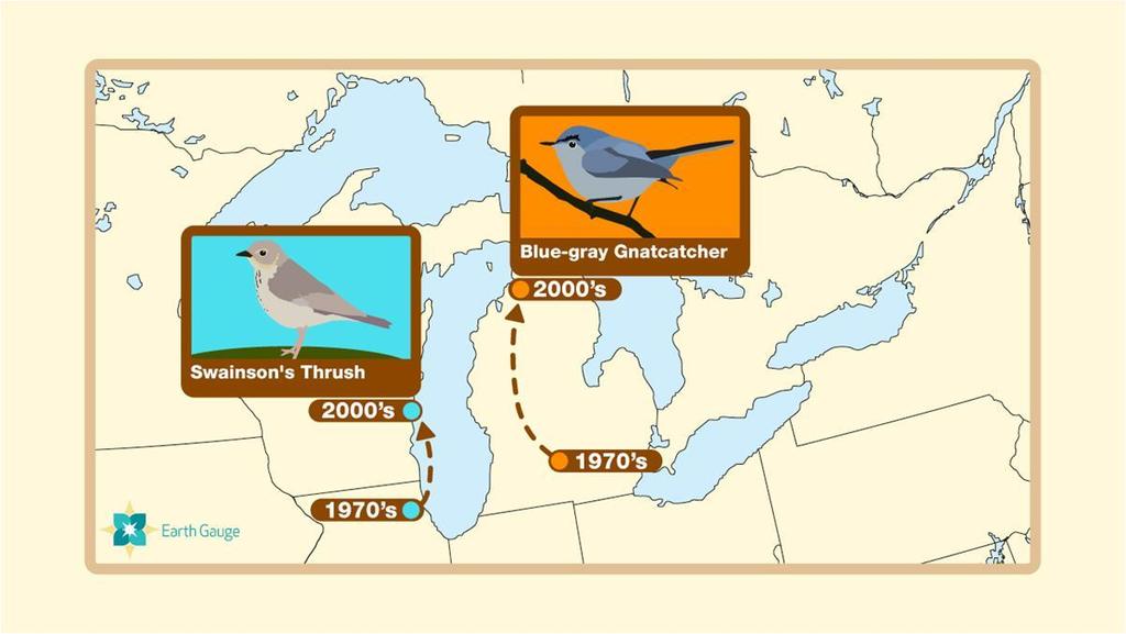 Temperaturas mais elevadas estão estimulando espécies de pássaros nos EUA a expandir suas áreas de ocorrência e reprodução em direção ao norte.