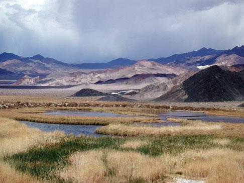 Ex2: refúgios devido às mudanças climáticas + recentes: Peixes ciprinídeos nos desertos de Nevada/ California,