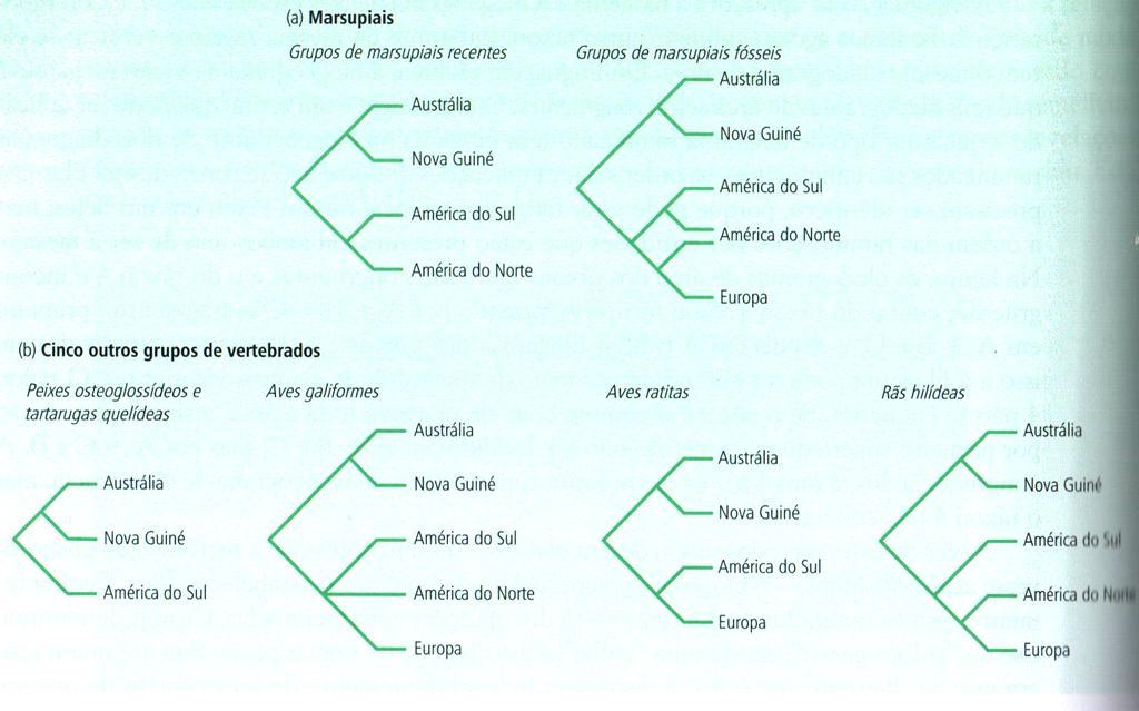 Cladogramas de áreas de marsupiais fósseis e recentes, e de cinco outros taxons