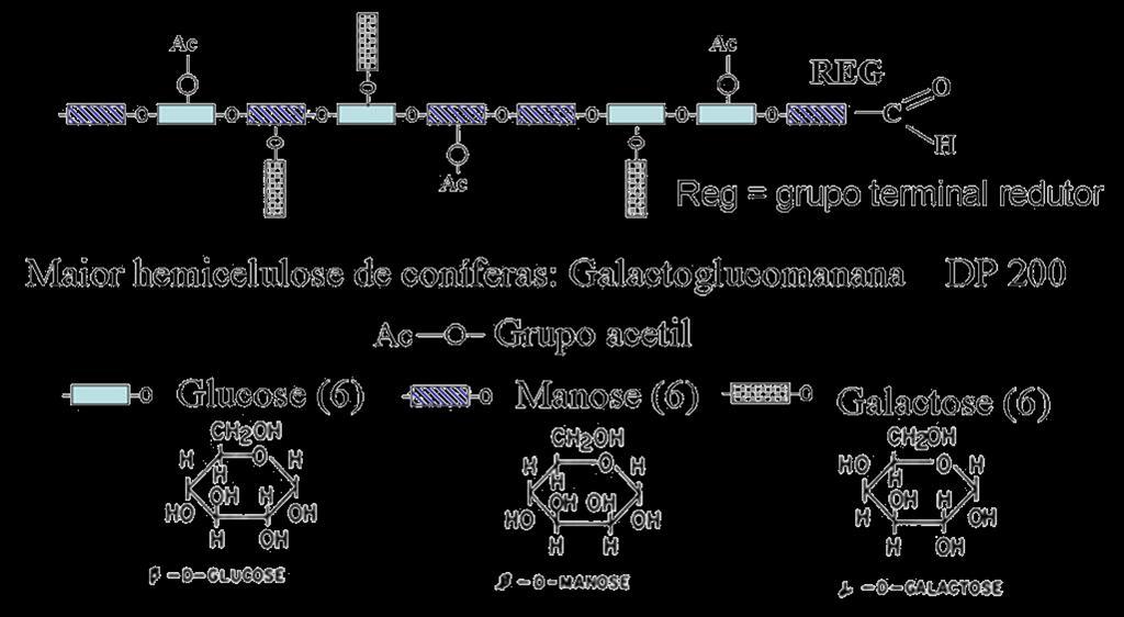 Morfologia e química da madeira Estrutura molecular da