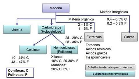 Morfologia e química da madeira 012 FONTE:
