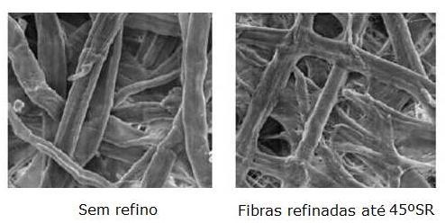 Refinação 095 Diferenças entre fibras não refinadas e