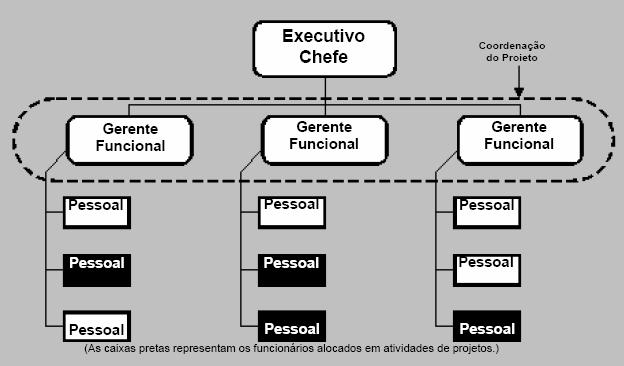 Escritório de Projetos nas Organizações Estrutura organizacional: Funcional Matricial (fraca, balanceada ou forte) Projetizada