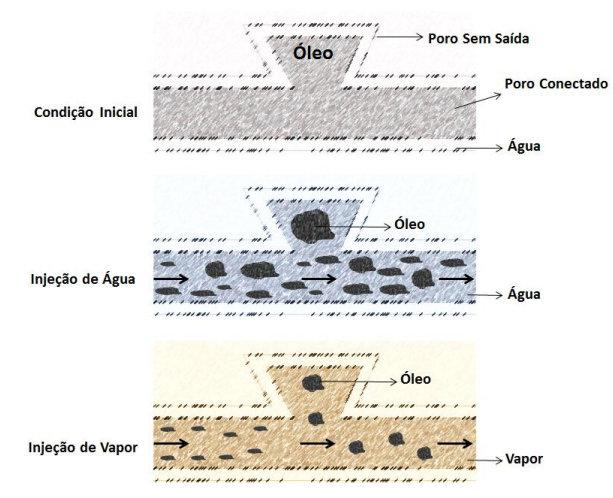 Capítulo II: Aspectos teóricos Figura 2. 10. Efeito da partição da injeção contínua de vapor em um sistema molhado pela água (Hong, 1994).