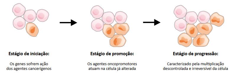CÂNCER: CONCEITO Os oncogenes estimulam o crescimento celular desordenado e eles são proto-oncogenes mutados.