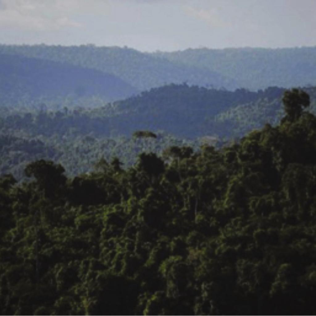 Proteção ambiental Na Novelis, nossas operações estão de acordo com os padrões globais no gerenciamento dos impactos ambientais da nossa empresa e de suas operações.