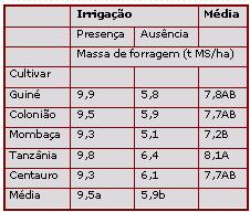 Irrigação não