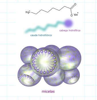 Composição química da