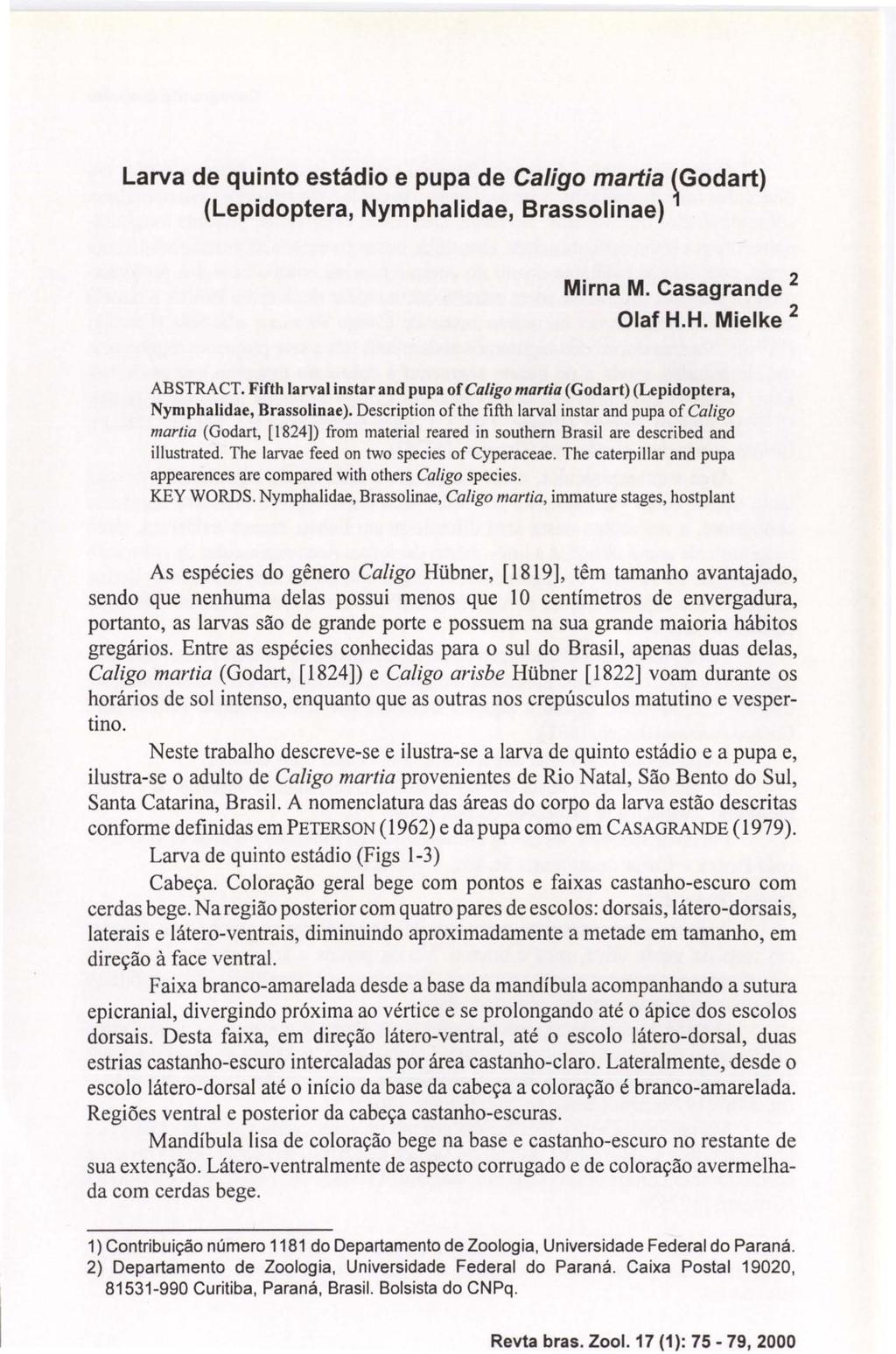 Revta bras. Zool. 17 (1): 75-79,2000 Larva de quinto estádio e pupa de Caligo martia ~Godart) (Lepidoptera, Nymphalidae, Brassolinae) Mirna M. Casagrande 2 Olaf H.H. Mielke 2 ABSTRACT.