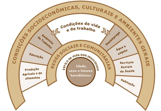 Nossa formação está relacionada à explicação do processo saúde-doença por fatores biológicos ou fatores ambientais ou fatores