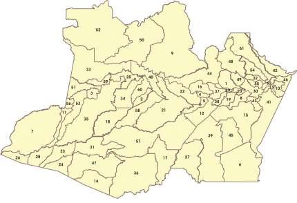 12 Mapas da Distribuição Aproximada da Fertilidade dos Solos do Estado do Amazonas Mapas da Distribuição Aproximada da Fertilidade dos Solos do Estado do Amazonas 13 Os altos valores da CTC efetiva e