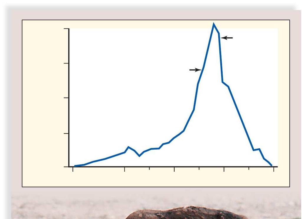 Número de indivíduos 2,000 1,500 1,000 500 crescimento exponencial Declínio