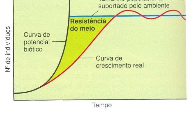 ECOLOGIA DA POPULAÇÃO POTENCIAL BIÓTICO E RESISTÊNCIA AMBIENTAL - Potencial biótico ou reprodutivo: é a capacidade inata a uma população de