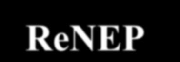 ReNEP Janeiro 2006