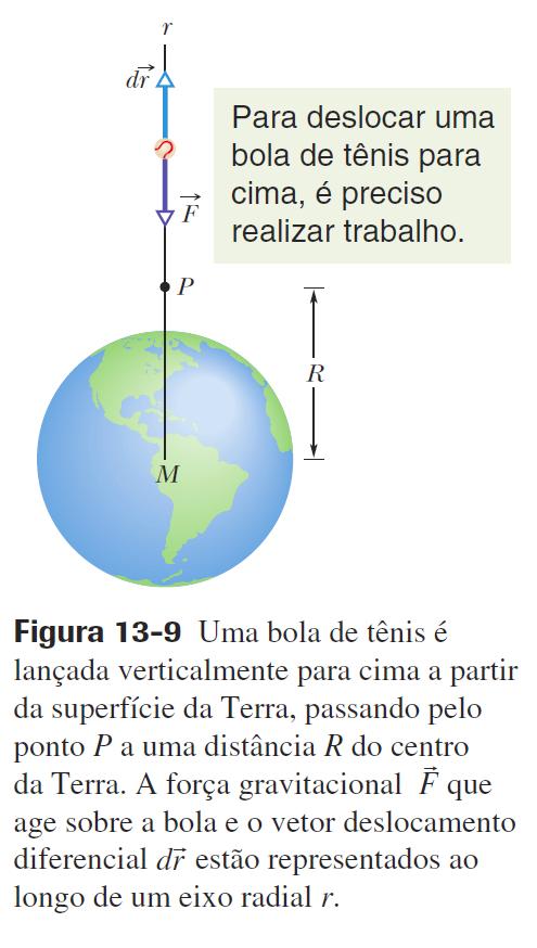 13.6 Energia Potencial Gravitacional Suponha que uma bola de tênis seja lançada verticalmente para cima a partir da superfície da Terra.