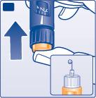 F G Mantendo a agulha virada para cima, pressione completamente o botão injetor. O seletor de dose volta a 0. Deve aparecer uma gota de insulina na ponta da agulha.