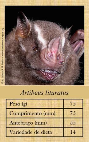 Figura 3. Carta do Super Trunfo: Morcegos Figura 4.