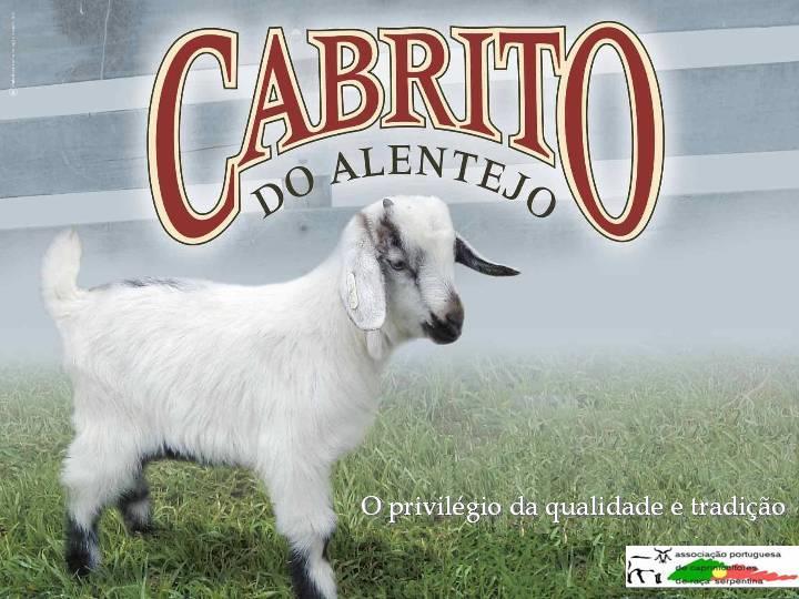 Comercialização do Cabrito 25 20 20 15 14 Évora Portalegre Beja 10 9 Outro 7 5 5 5 6 6 5 3