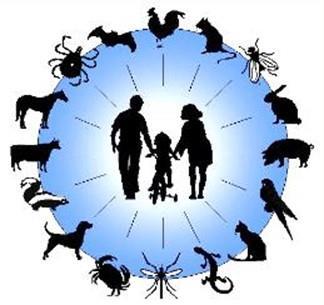 O que são ZOONOSES? Definição clássica doenças que são transmitidas de animais para humanos, ou de humanos para os animais.