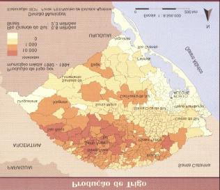 A área colhida do trigo em 1997/1998 registrou um queda significativa de aproximadamente 19,5%, com uma produção de 549 milhões de toneladas, 7,1% inferior á safra anterior, 1996/1997.