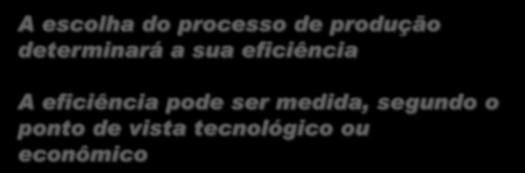 Processo de Produção A escolha do processo de produção determinará a sua eficiência A eficiência pode ser medida, segundo o ponto de vista tecnológico ou econômico Processo de