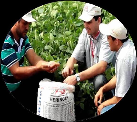 distribuem fertilizantes Força de vendas e capacidade de distribuição Presença Nacional