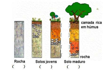 Colégio Santa Dorotéia Área de Ciências Humanas Disciplina: Geografia Ano: 6º Ensino Fundamental Professores: Rogério Duarte e Carlos Afonso Geografia Atividades para Estudos Autônomos Data: 5 / 6 /