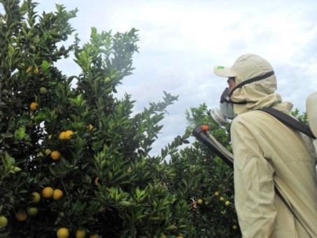 doentes nos vizinhos Pulverização de plantas nos vizinhos