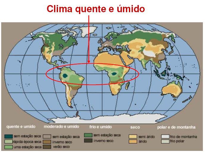 O Brasil está localizado em uma zona tropical Em