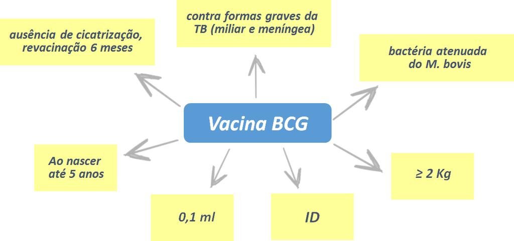 Notas sobre a administração intradérmica: Quando necessário, a limpeza da pele deve ser feita com água e sabão; O álcool comum não deve ser utilizado pela sua baixa volatilidade (demora a secar) e