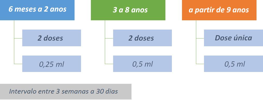 Vacina Influenza Deve-se adotar a via de administração intramuscular.