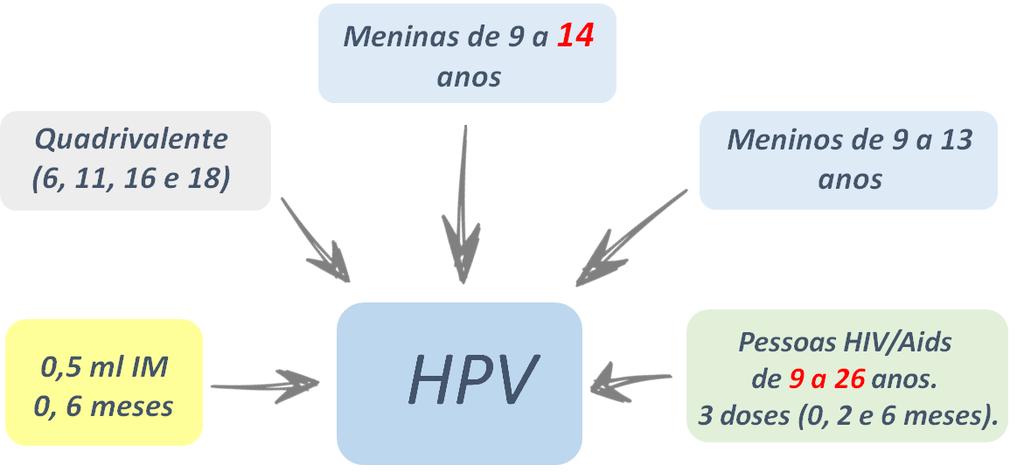 Indicações: Prevenção contra HPV 16 e 18 (responsável por 70% dos casos de câncer de colo do útero); 6 e 11 (verrugas genitais - condiloma acuminado); Confere ainda proteção cruzada contra HPV 31,