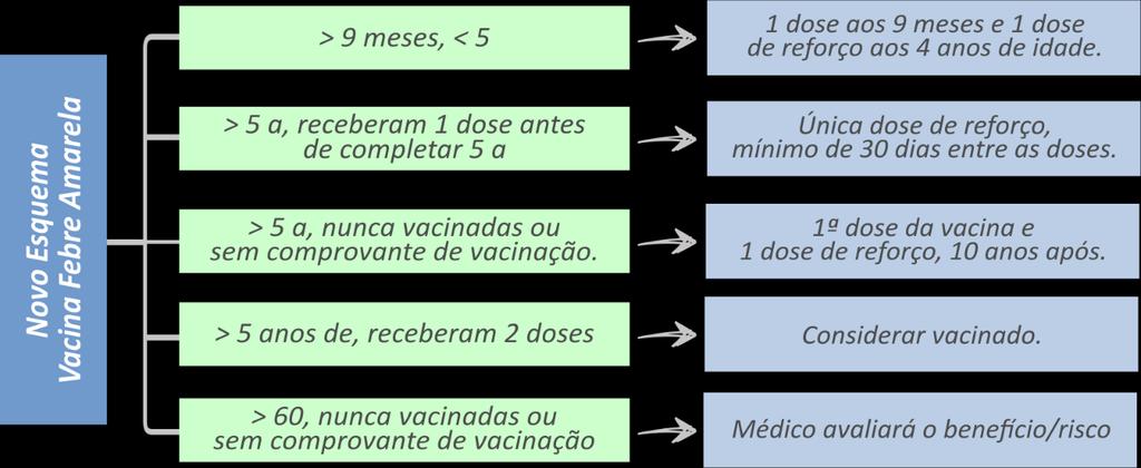 d) Duas doses a cada 6 anos. e) Uma dose a cada 10 anos.