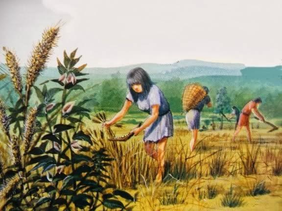 PRODUÇÃO ARTESANAL Até o fim do século XVIII, porém, a agricultura era a atividade econômica predominante no mundo.