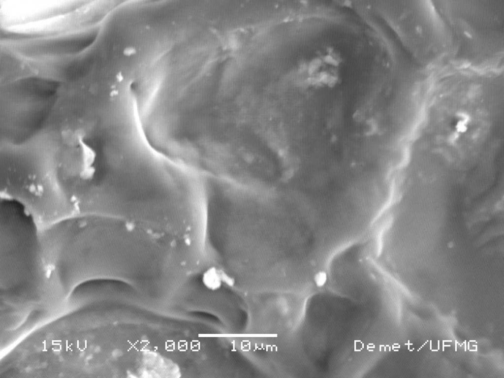 Figura 9 Fotomicrografia do filme polimérico formado a partir do polímero solubilizado em diclorometano DP88, BSE, 2000X; RE5010, BSE, 2000X.