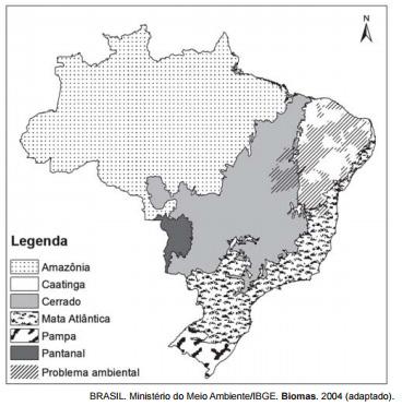 c) a vegetação pantaneira, parcialmente destruída para a formação de pastagens destinadas à criação de bovinos.