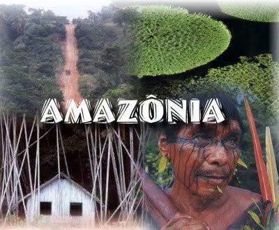 AMAZÔNIA Nosso maior bioma Maior área tropical do planeta Ocupa