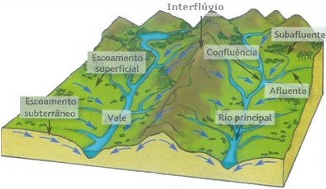 Generalidades A formação