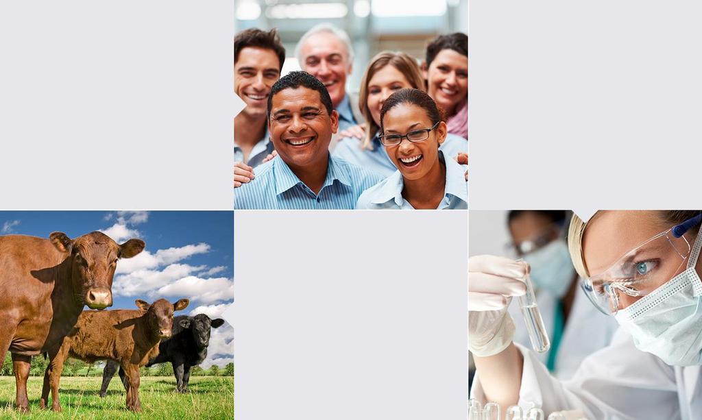 +115 especialistas em P&D para saúde animal Média de 6,0% do faturamento anual investido em P&D