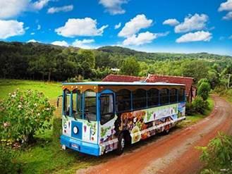 Marcon, o Moinho Cavichion, o Museu Rural Fiorezze e, no final, teremos uma degustação de produtos coloniais e frutas da estação oferecidas pela Dona Zulmira.