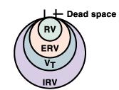Volumes e capacidades dos pulmões RV