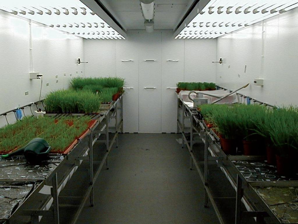 Fitotron SGR Salas de cultivo SGR (Standard Growth Rooms) Salas climáticas para simulação ambiental Aplicação: As salas de cultivo SGR podem ser utilizadas para realizar desde o cultivo de plantas e