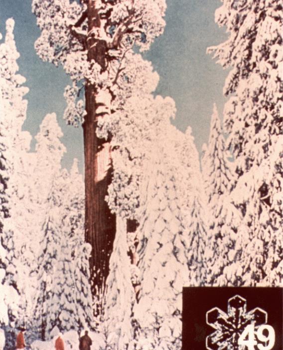 Figura 6: Uma das imagens levadas na Sonda Voyager, para representar a humanidade e o conhecimento que temos atualmente. O floco de neve está destacado.