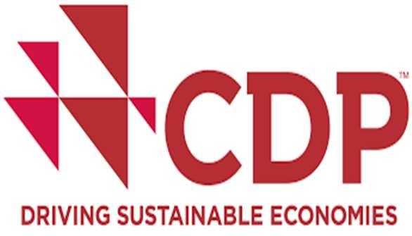 Compromissos Externos Compromissos Externos Carbon Disclosure Project (CDP) Indicada em 2014 no CDP como uma das empresas mundialmente reconhecidas pelo engajamento no