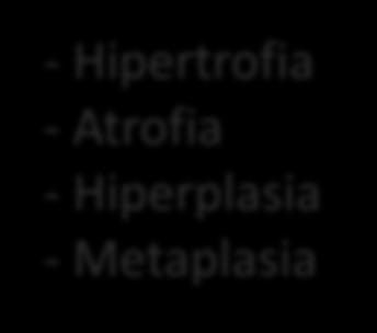 Hipertrofia -